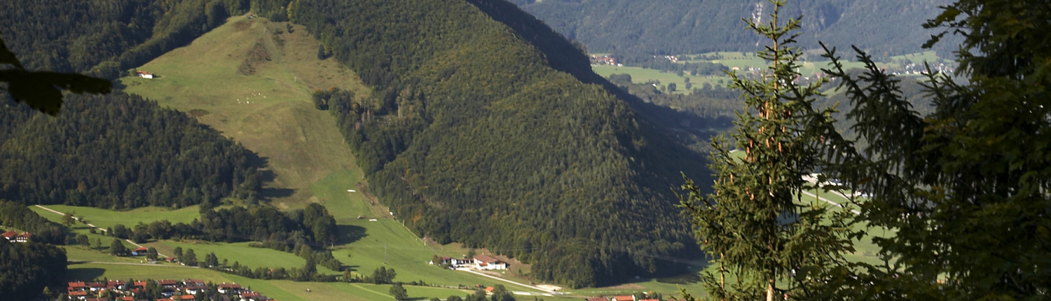 Bayerischer Bauernverband